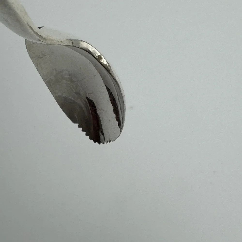 VTG Wm Rogers Mfg Co Grapefruit Spoons Set Of 2 Silverspoon Serrated Citrus MCM